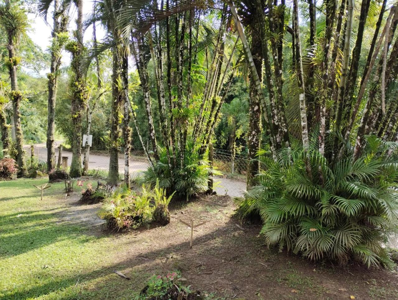 Arraial Bed & Breakfast *